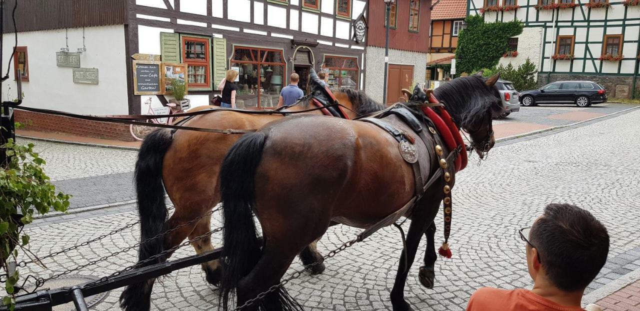 Art Apartment - Harz Stolberg  Zewnętrze zdjęcie