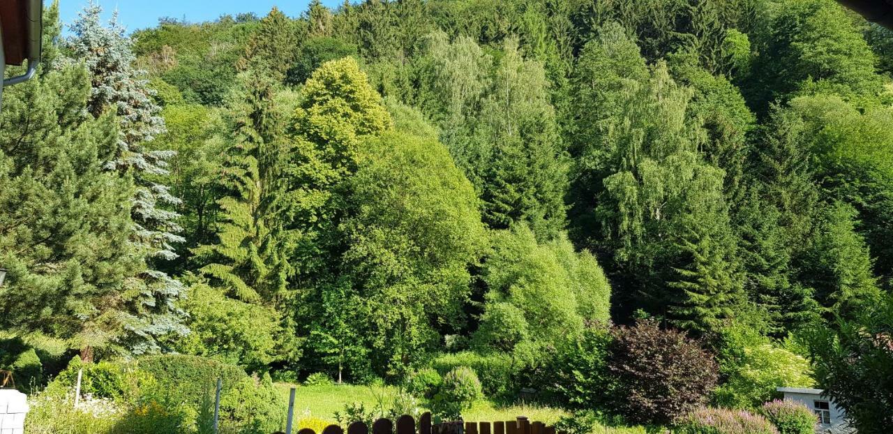 Art Apartment - Harz Stolberg  Zewnętrze zdjęcie